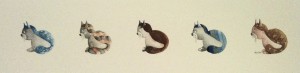 I gatti