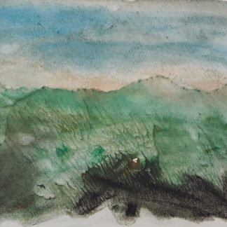 23 Bosco bruciato
