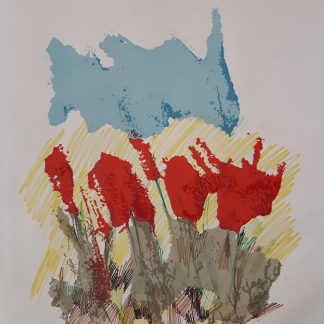 10 Papaveri