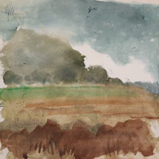 15 Paesaggio marchigiano