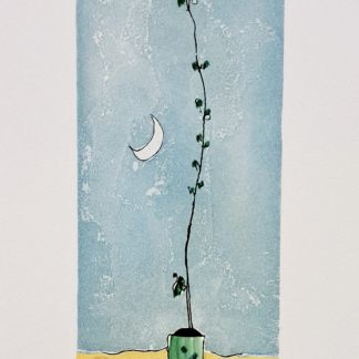 Il fiore della luna
